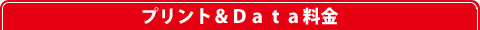 プリント＆Ｄａｔａ～料金～