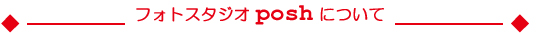 ｐｏｓｈについて